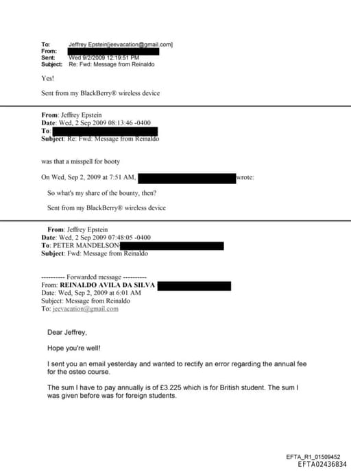 Preview of EFTA02436834