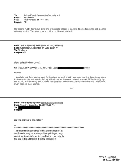 Preview of EFTA02436859