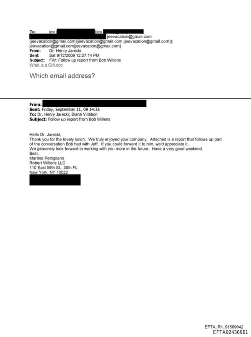 Preview of EFTA02436961