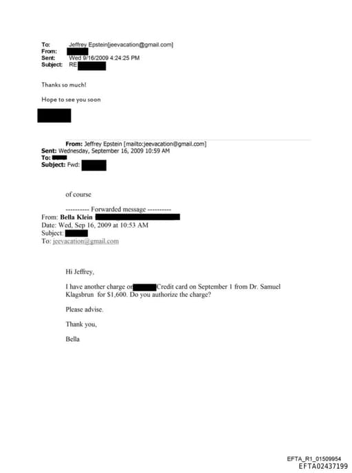 Preview of EFTA02437199