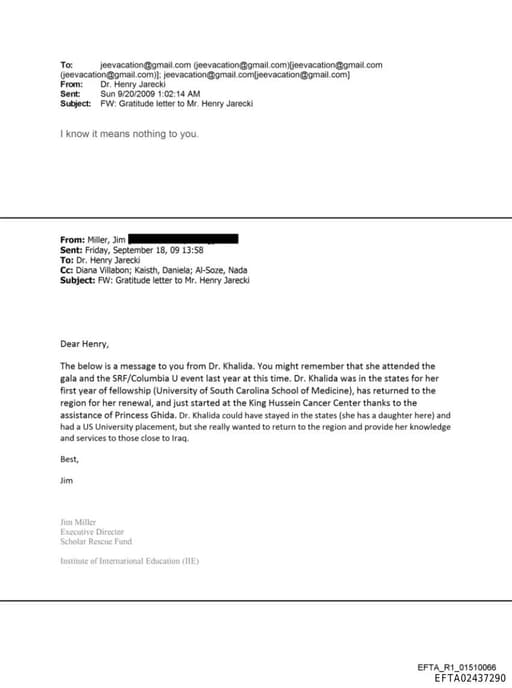 Preview of EFTA02437290