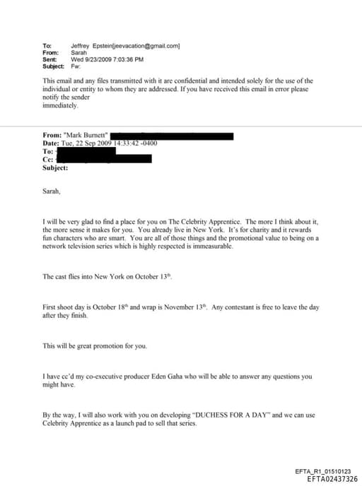 Preview of EFTA02437326