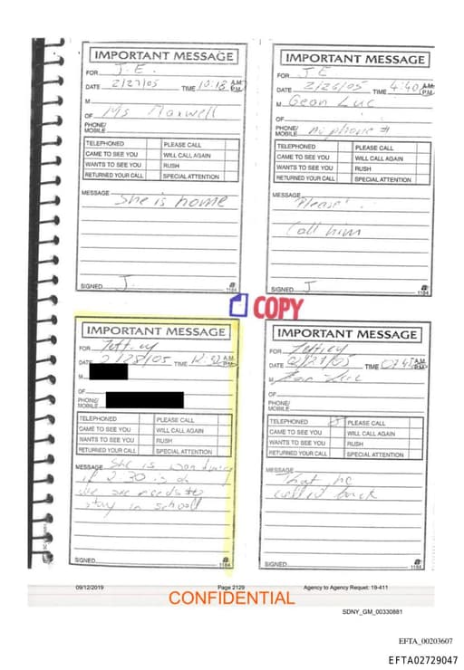 Preview of EFTA02729047