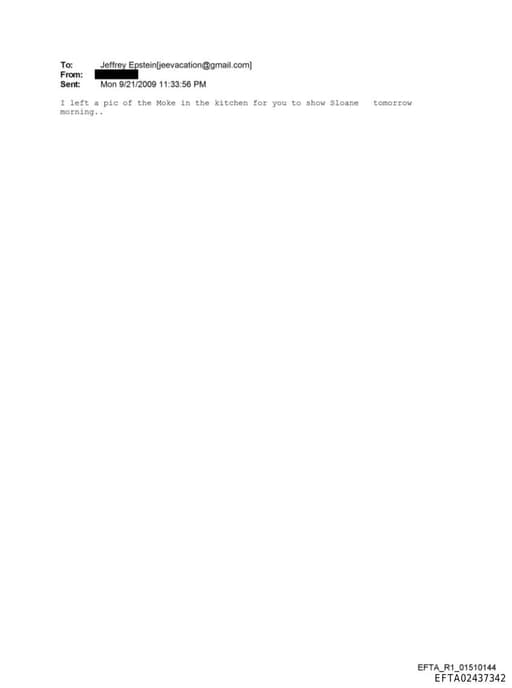 Preview of EFTA02437342