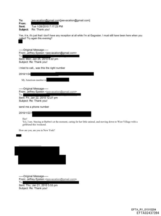 Preview of EFTA02437394