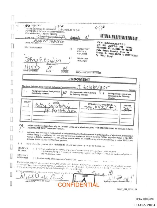 Preview of EFTA02729834