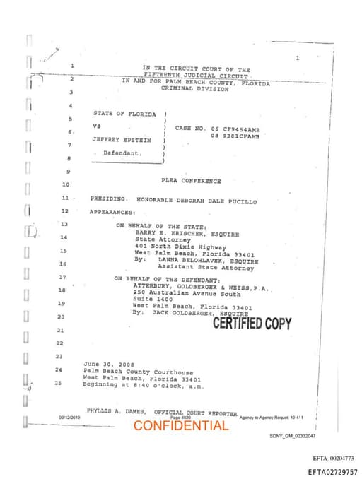 Preview of EFTA02729757