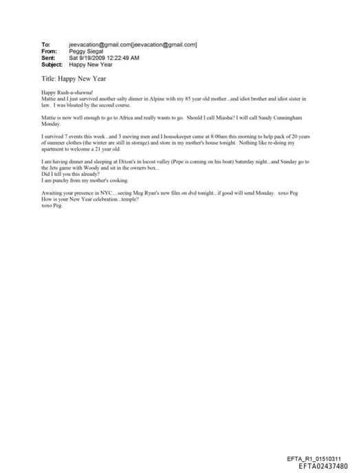 Preview of EFTA02437480