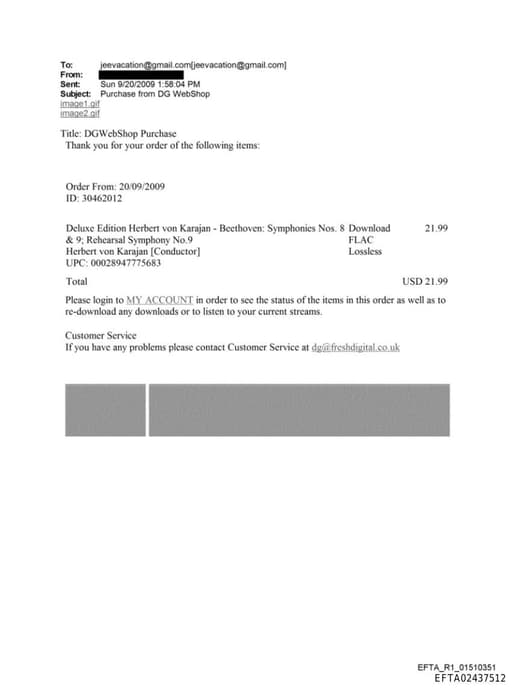 Preview of EFTA02437512