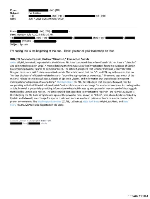 Preview of EFTA02730061