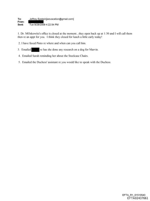 Preview of EFTA02437661