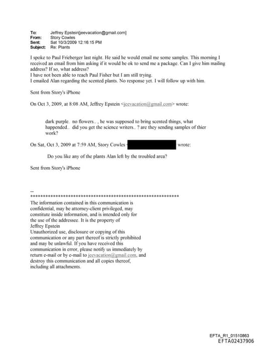 Preview of EFTA02437906