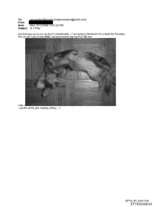 Preview of EFTA02438142