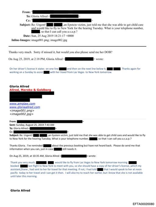 Preview of EFTA00020080