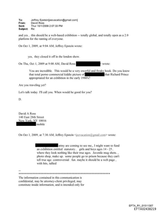 Preview of EFTA02438219