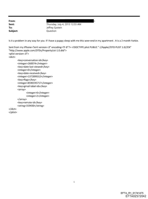 Preview of EFTA02572042