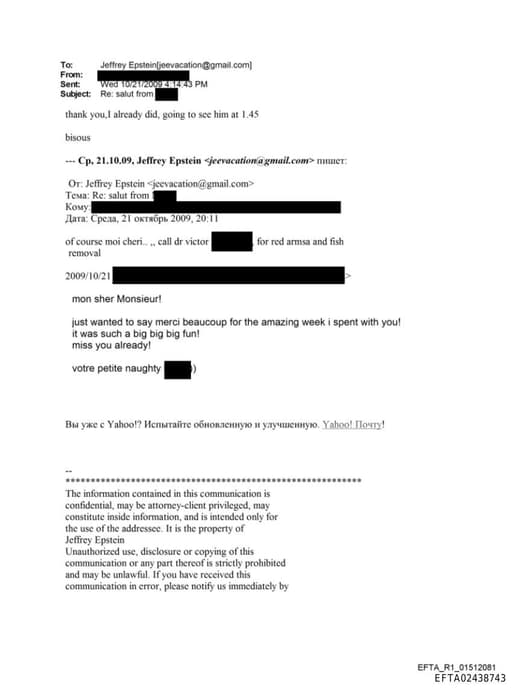 Preview of EFTA02438743