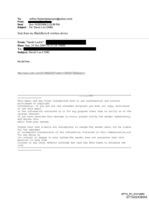 Preview of EFTA02439045