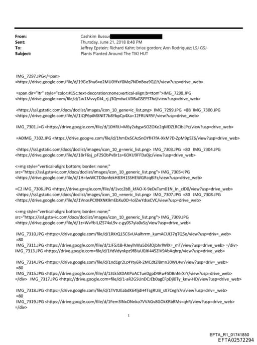 Preview of EFTA02572294