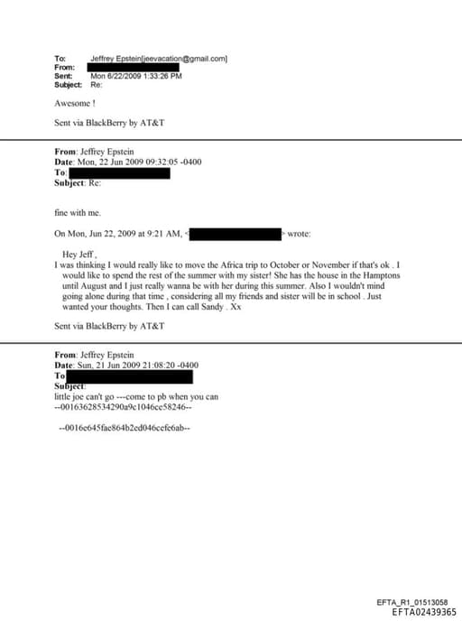 Preview of EFTA02439365