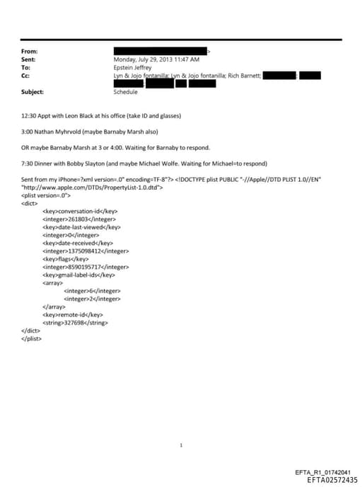 Preview of EFTA02572435