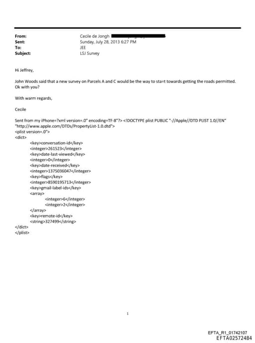 Preview of EFTA02572484