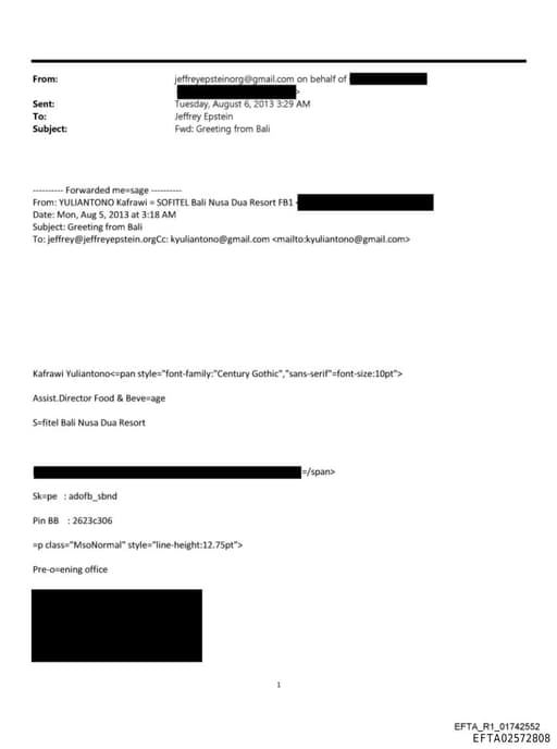 Preview of EFTA02572808