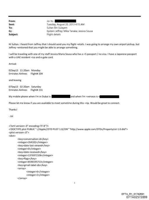 Preview of EFTA02572899