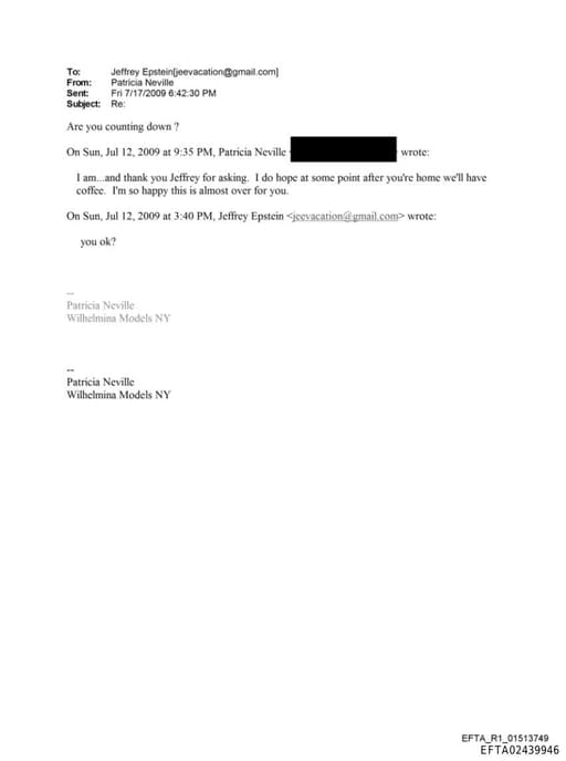 Preview of EFTA02439946