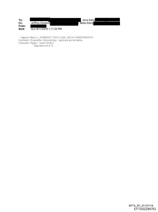 Preview of EFTA02294701