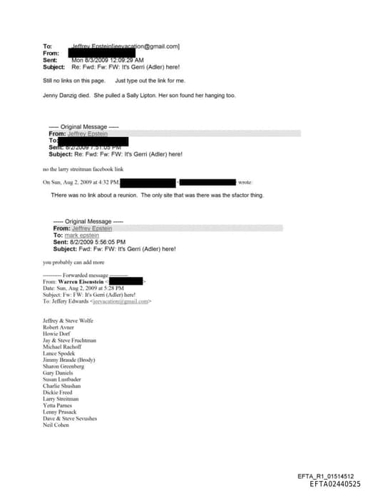 Preview of EFTA02440525