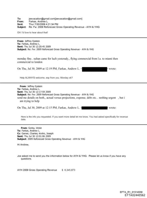 Preview of EFTA02440562