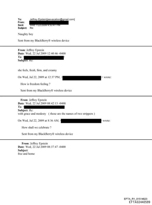 Preview of EFTA02440599