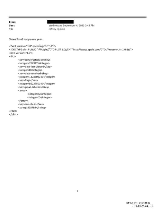 Preview of EFTA02574136