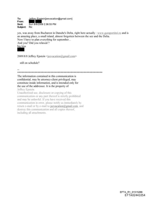 Preview of EFTA02441054