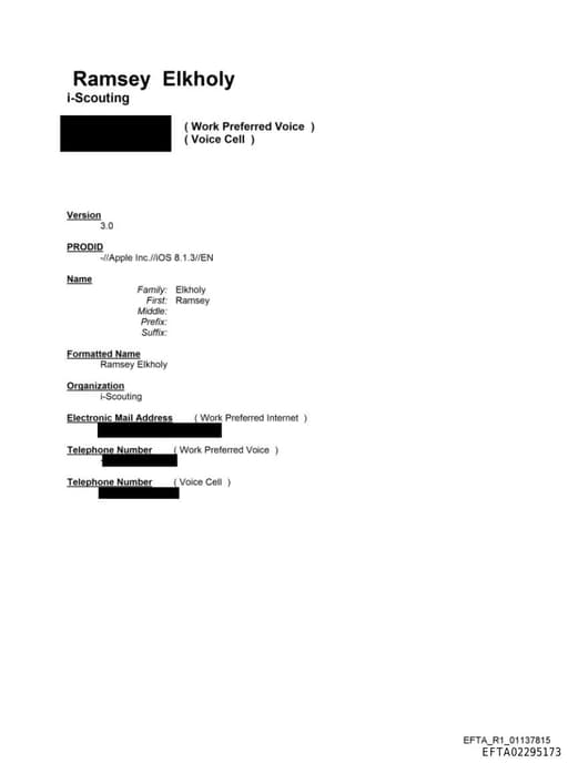 Preview of EFTA02295173