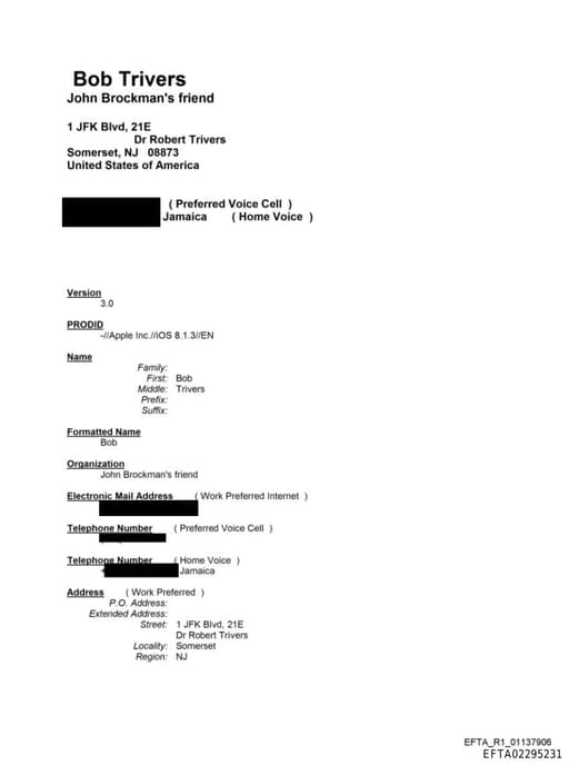 Preview of EFTA02295231