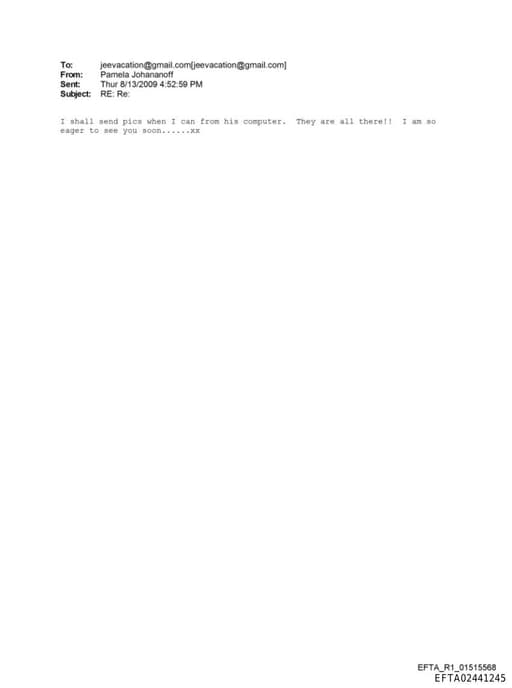 Preview of EFTA02441245