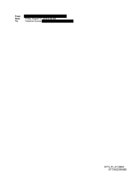 Preview of EFTA02295480