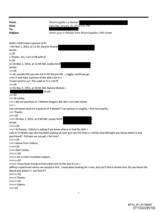 Preview of EFTA02295756