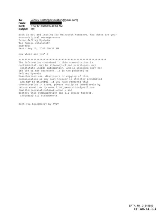 Preview of EFTA02441394