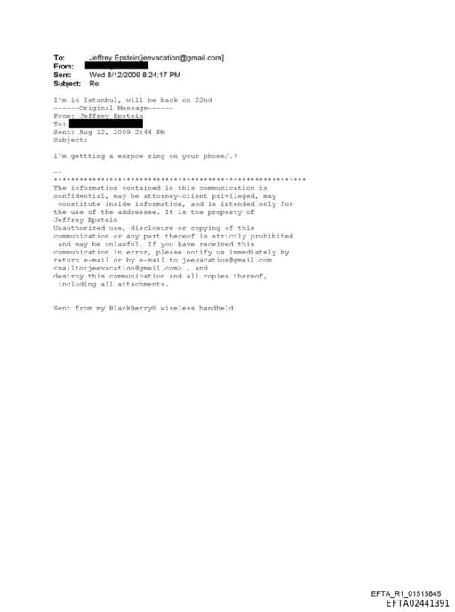 Preview of EFTA02441391