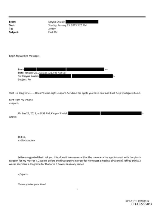 Preview of EFTA02295857