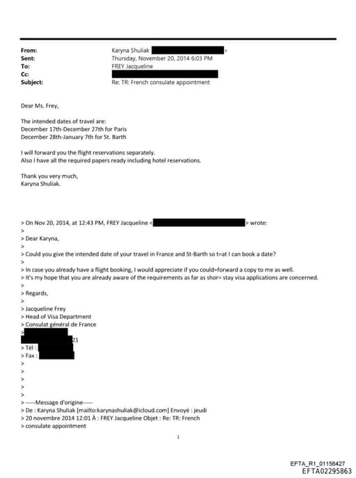 Preview of EFTA02295863