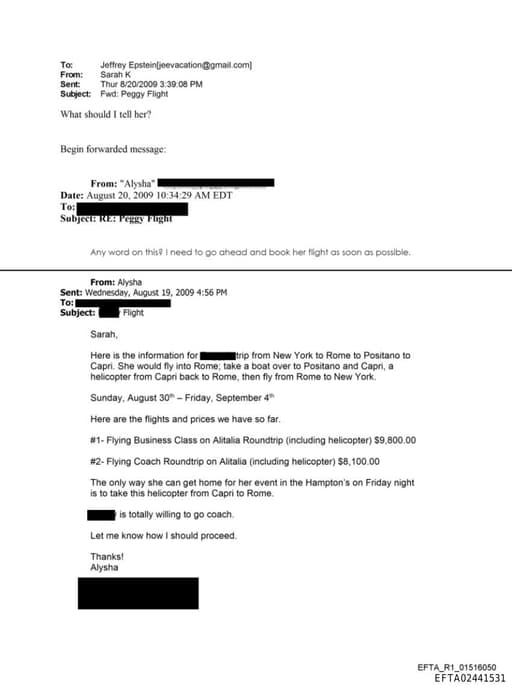 Preview of EFTA02441531