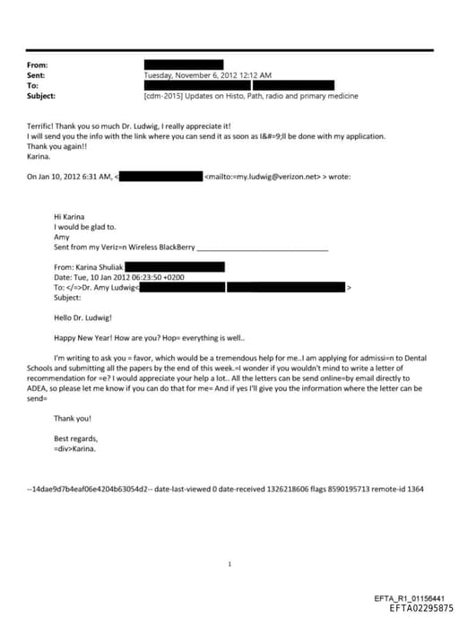 Preview of EFTA02295875