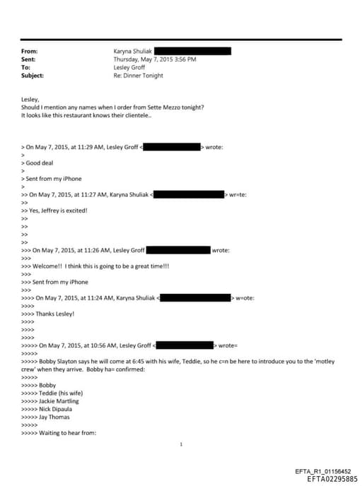 Preview of EFTA02295885