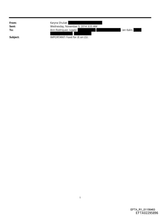 Preview of EFTA02295896