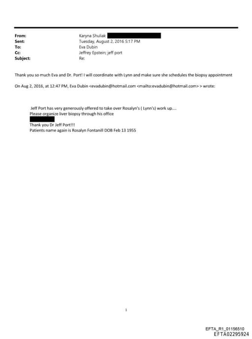 Preview of EFTA02295924