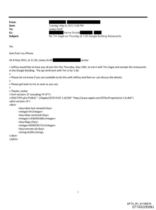 Preview of EFTA02295961